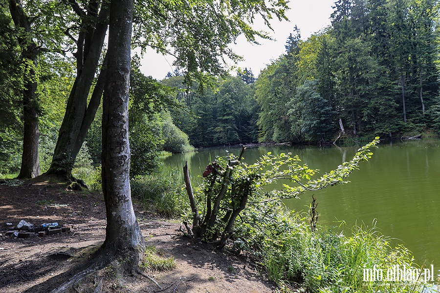 Jelenia Dolina, fot. 24