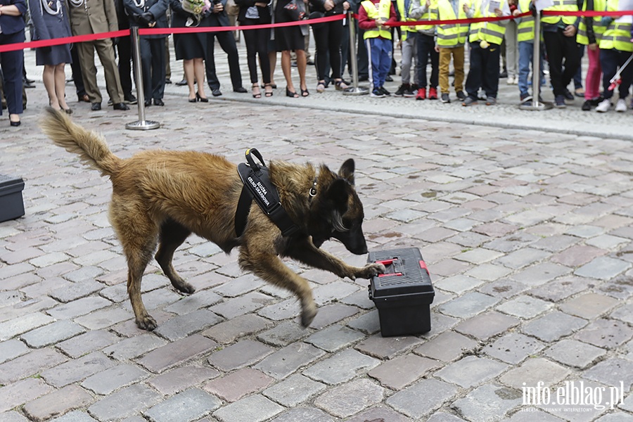 Dzie Krajowej Administracji Skarbowej w Elblgu, fot. 111