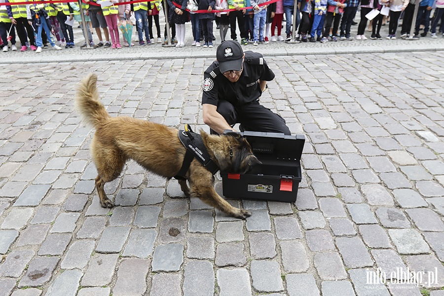 Dzie Krajowej Administracji Skarbowej w Elblgu, fot. 112