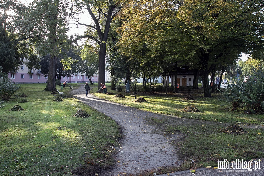 Park przy ulicy Lotniczej i placu Wolnoci, fot. 16
