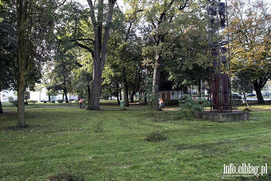 Park przy ulicy Lotniczej i placu Wolnoci, fot. 17