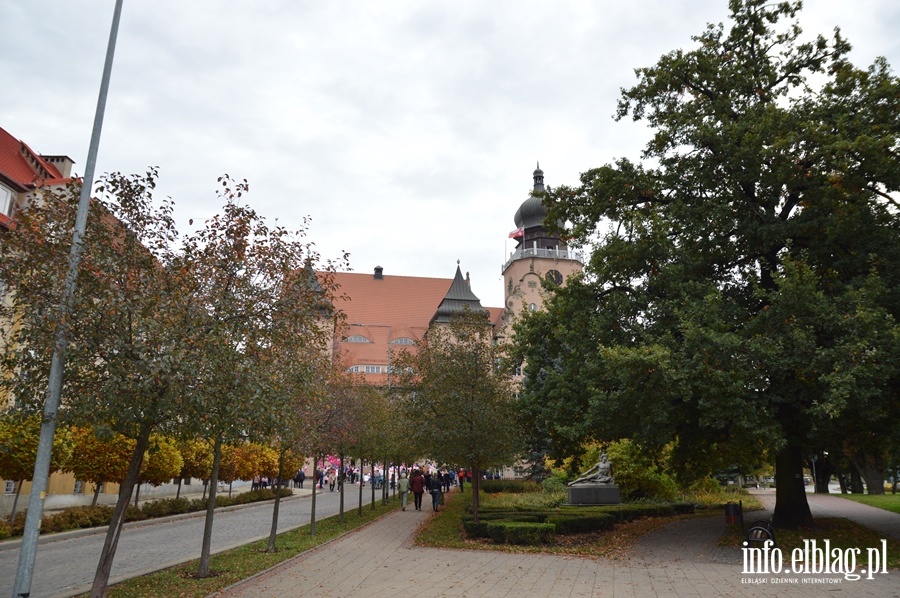Kocham cię życie, fot. 1