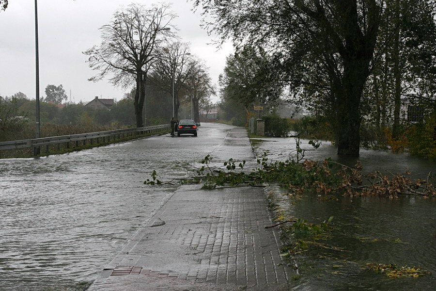 Podtopienia spowodowane cofką do rzeki Elbląg, fot. 36