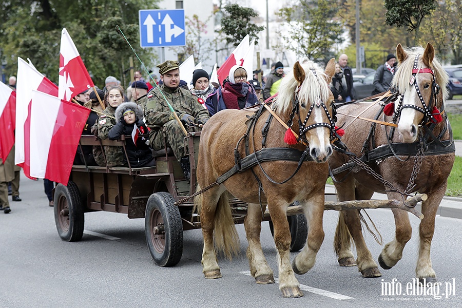 Przemarsz Niepodlegoci, fot. 62