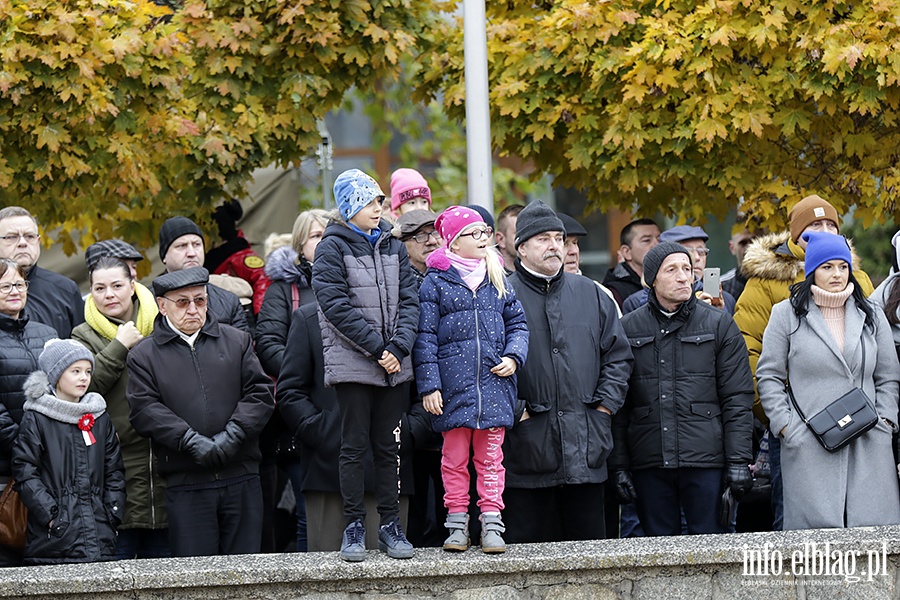 Przemarsz Niepodlegoci, fot. 100