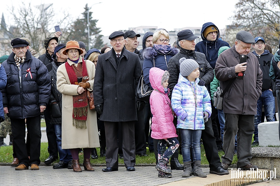 Przemarsz Niepodlegoci, fot. 102