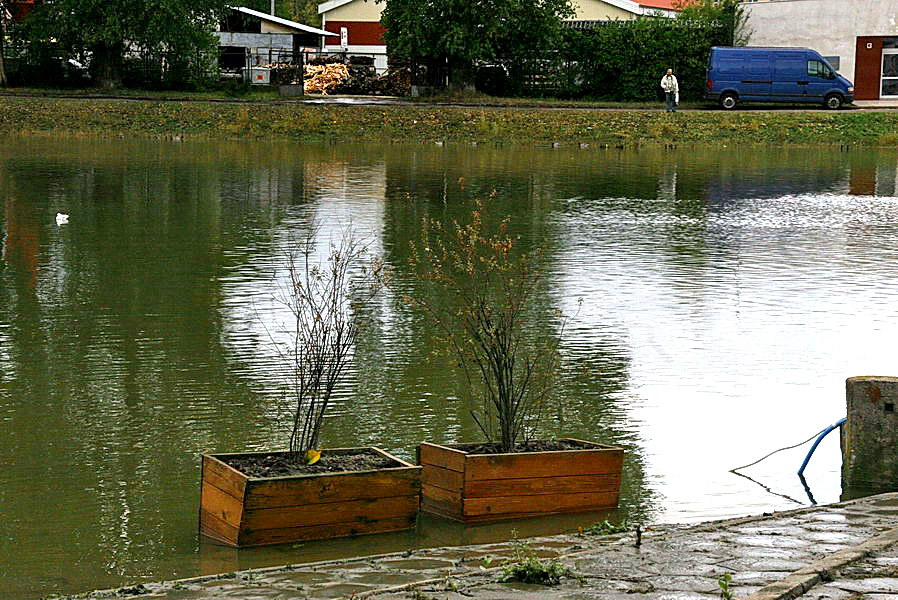 Skutki podtopie po silnych wiatrach w Elblgu, fot. 3