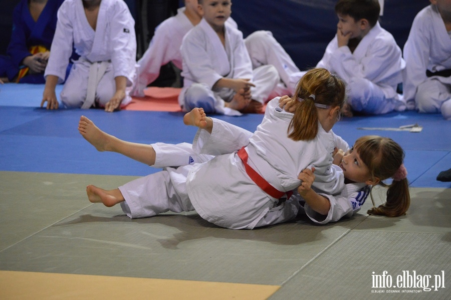 Mikolajkowy turniej judo dla dzieci TOMITA CUP, fot. 7