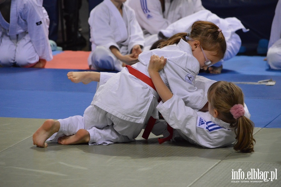 Mikolajkowy turniej judo dla dzieci TOMITA CUP, fot. 8