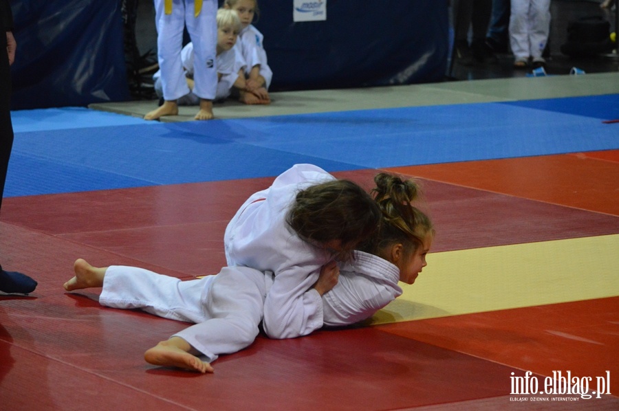 Mikolajkowy turniej judo dla dzieci TOMITA CUP, fot. 11
