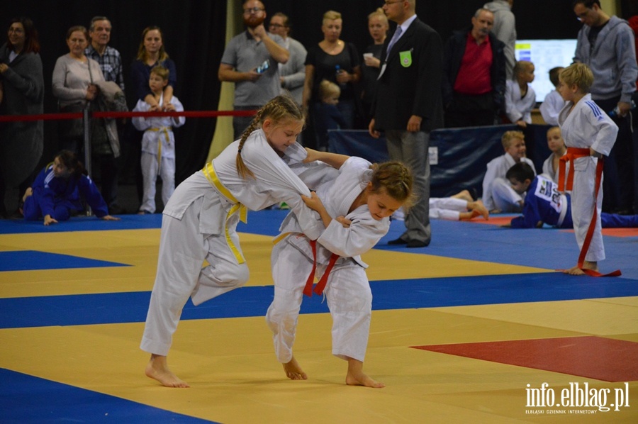 Mikolajkowy turniej judo dla dzieci TOMITA CUP, fot. 18