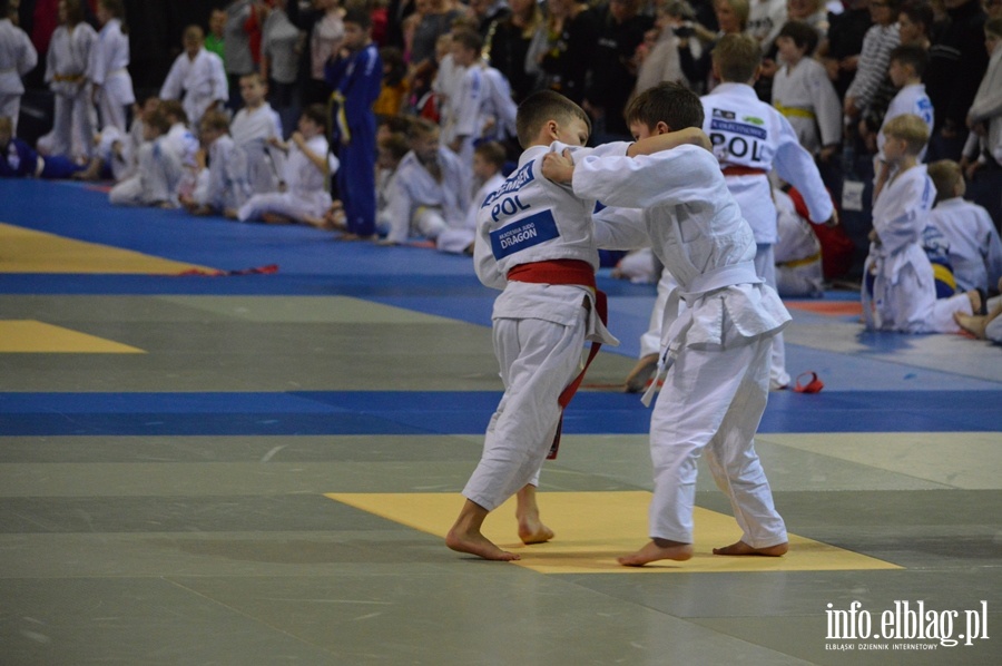 Mikolajkowy turniej judo dla dzieci TOMITA CUP, fot. 28