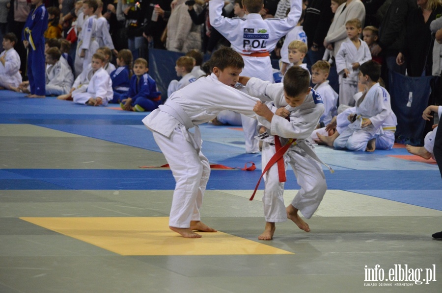 Mikolajkowy turniej judo dla dzieci TOMITA CUP, fot. 29