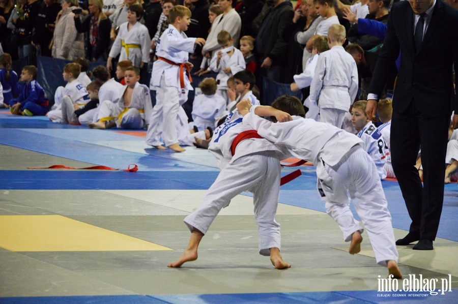 Mikolajkowy turniej judo dla dzieci TOMITA CUP, fot. 33