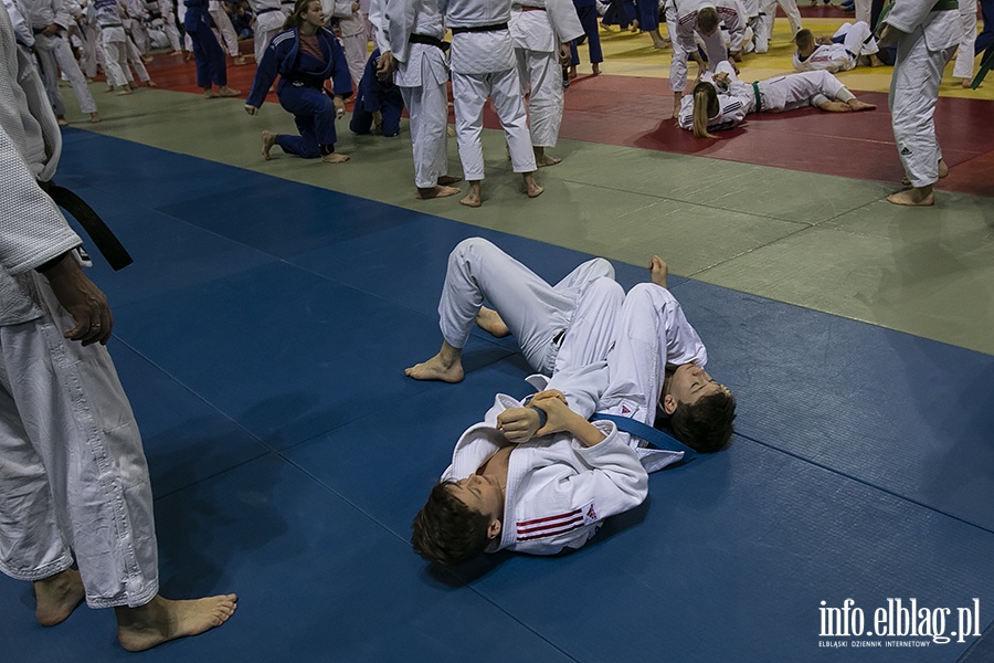Judo Camp, fot. 6