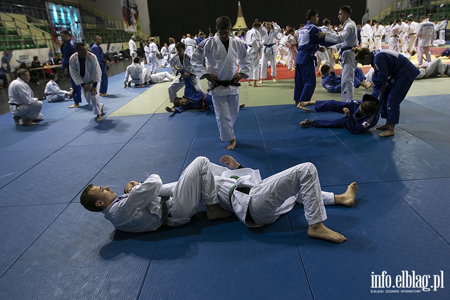 Judo Camp, fot. 9