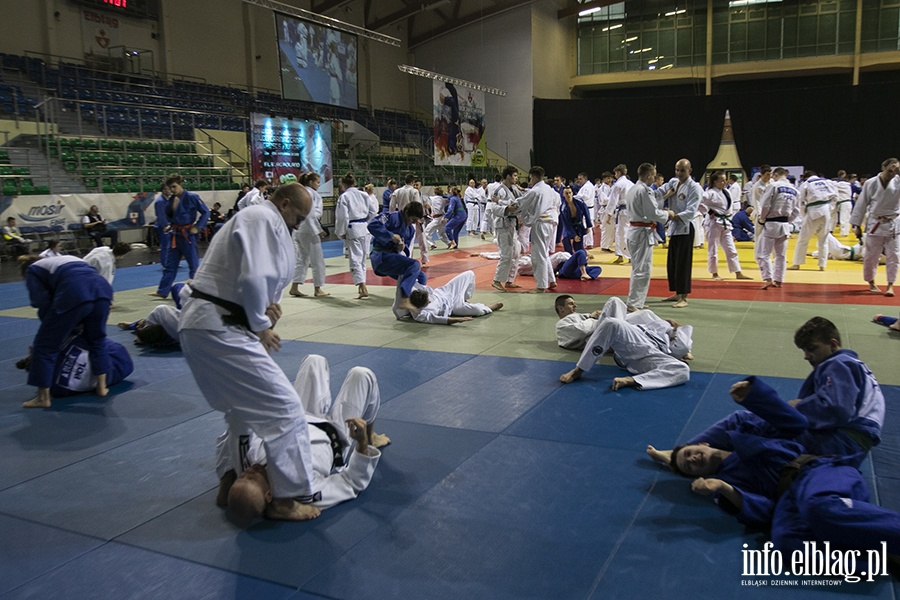 Judo Camp, fot. 10