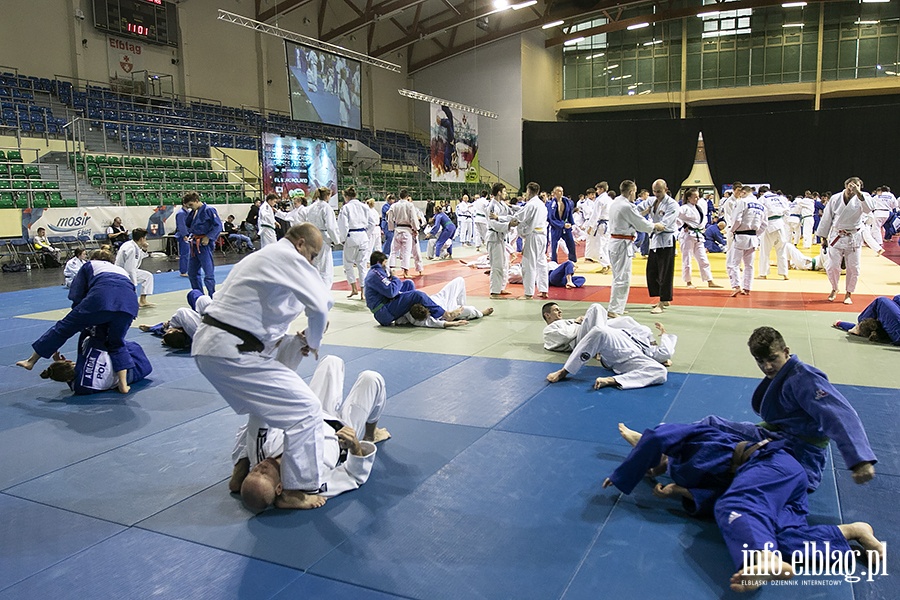Judo Camp 2, fot. 7