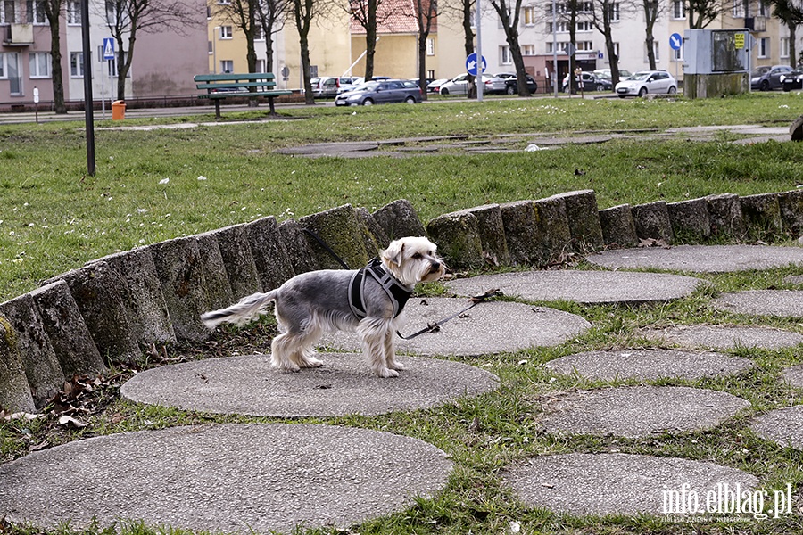 Miasto w czasie zagroenia koronawirusem , fot. 11