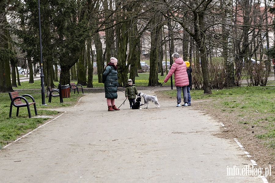 Miasto w czasie zagrożenia koronawirusem 2, fot. 41