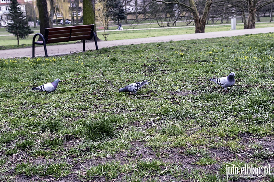 Miasto w czasie zagrożenia koronawirusem 2, fot. 49