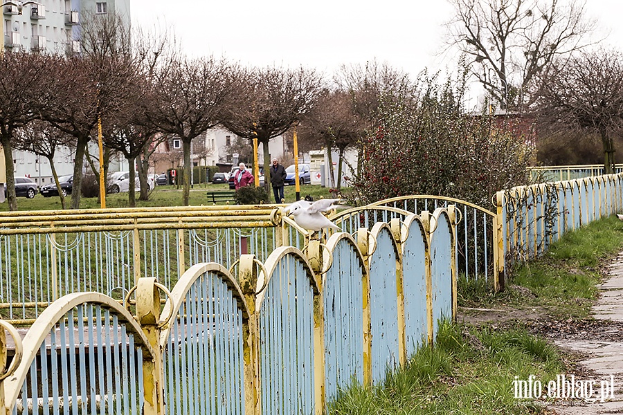 Miasto w czasie zagroenia koronawirusem - Zatorze, fot. 10