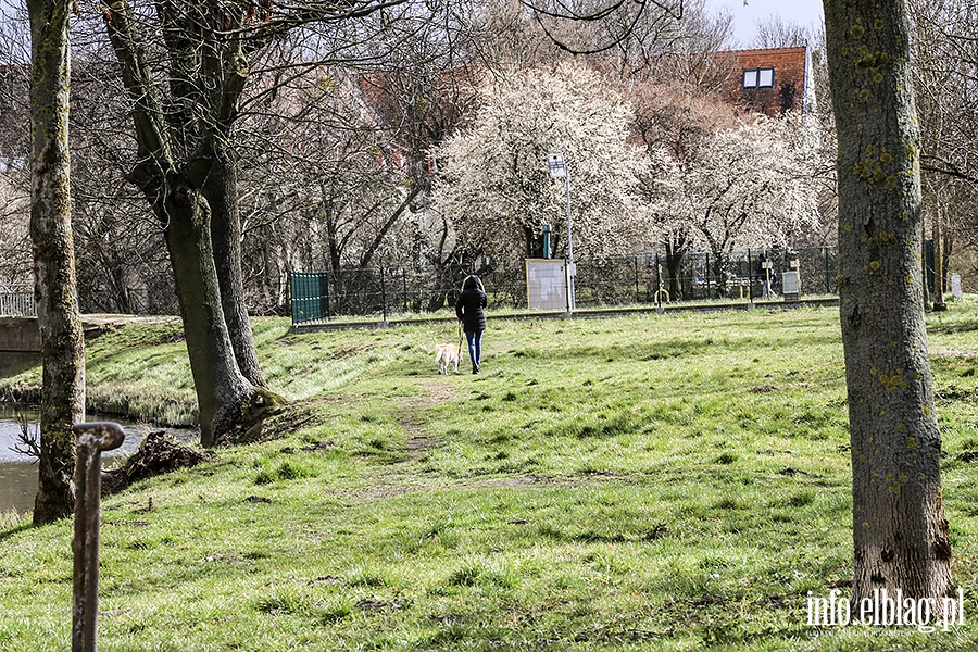 Zawodzie w czasie pandemii, fot. 55