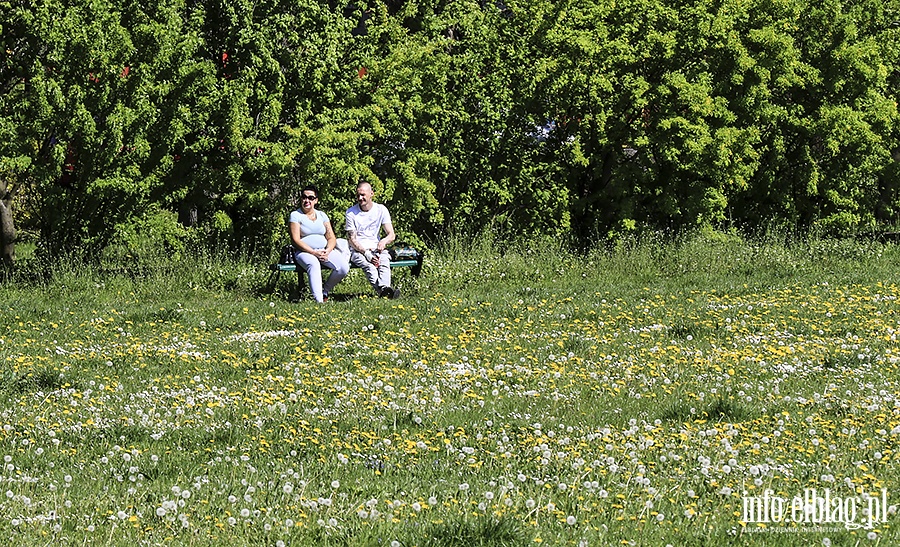 Park Kajki ludzie, fot. 4