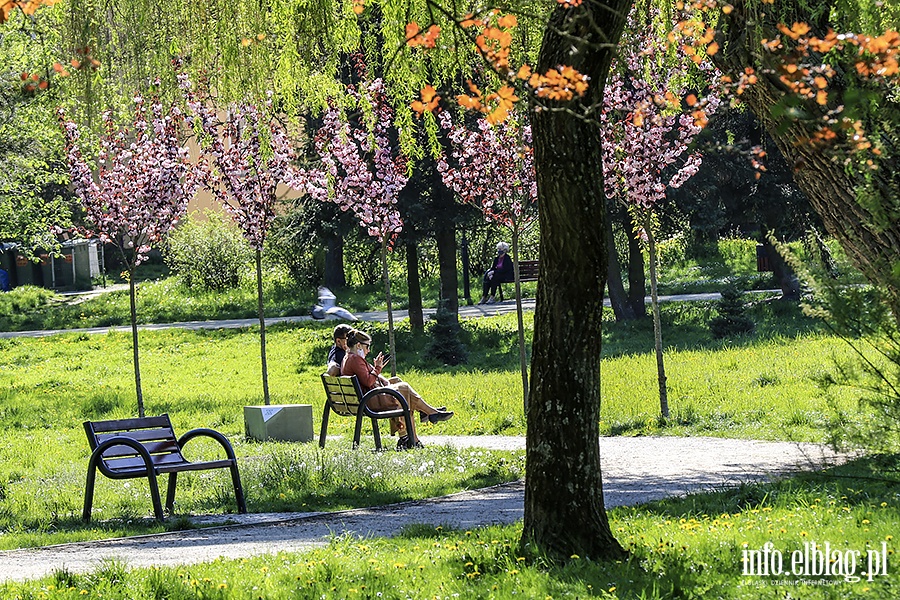 Park Kajki ludzie, fot. 16