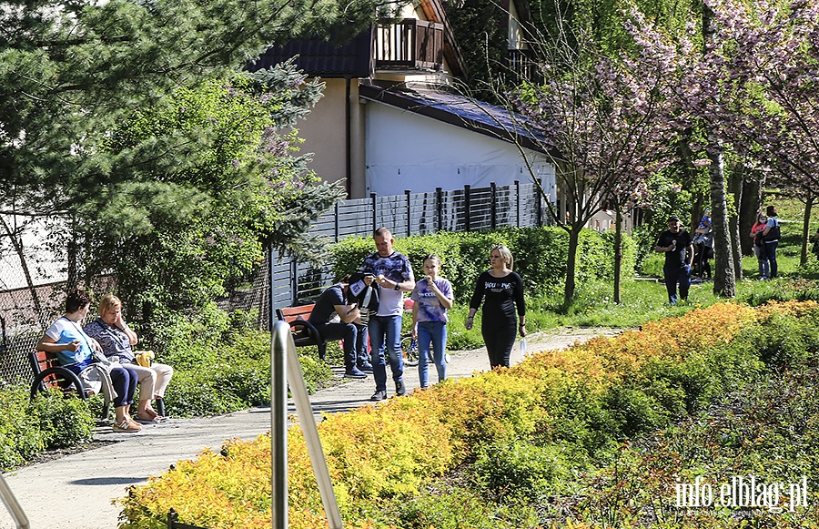 Park Kajki ludzie, fot. 35