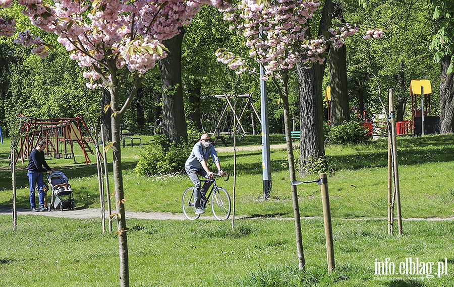 Park Modrzewie, fot. 19