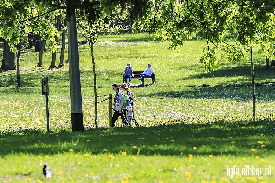 Park Modrzewie, fot. 26