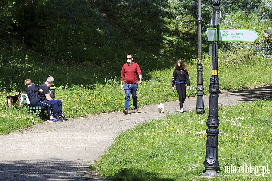 Park Traugutta, Dolinka,Planty, fot. 6