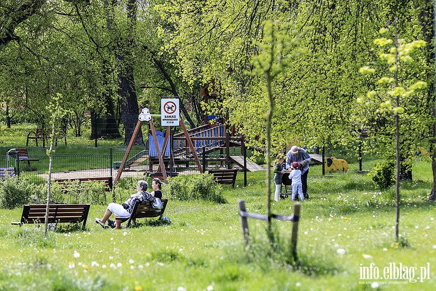 Park Traugutta, Dolinka,Planty, fot. 23