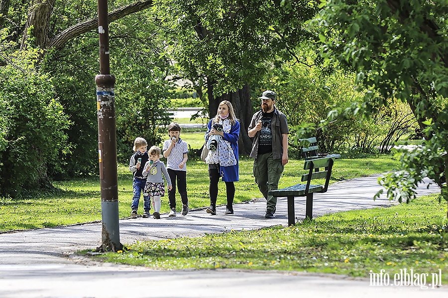 Park Traugutta, Dolinka,Planty, fot. 36