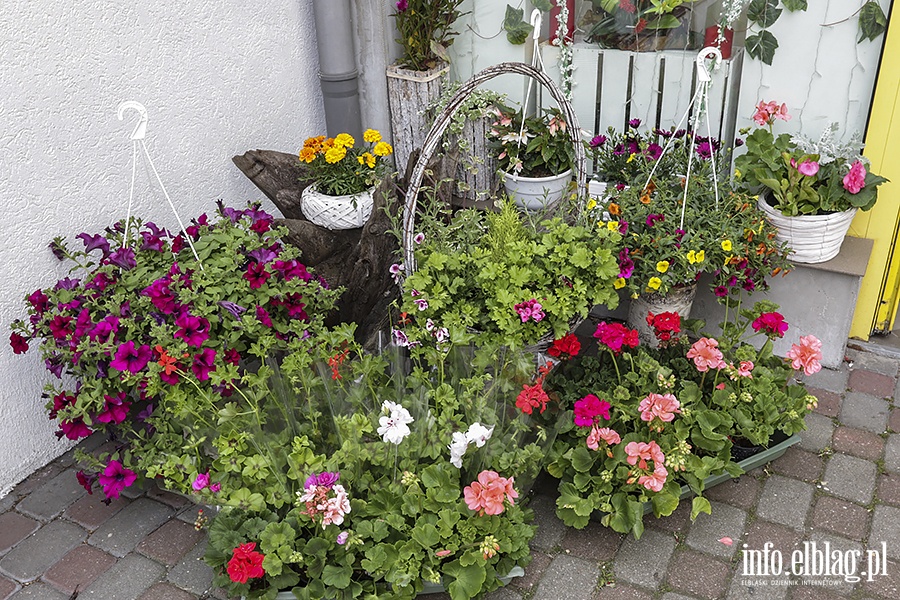 Kwiaciarnie Bajka i Rosa del Garda, fot. 26