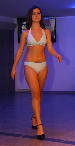 Trzeci casting kandydatek na Miss Ziemi Elblskiej 2010, fot. 118