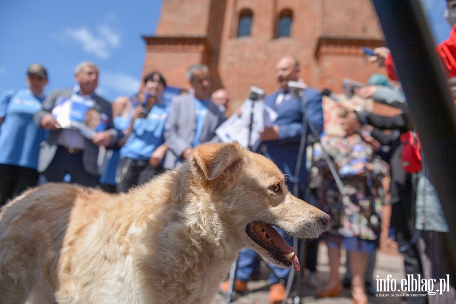 Konferencja prasowa PO z udziaem Borysa Budki , fot. 23