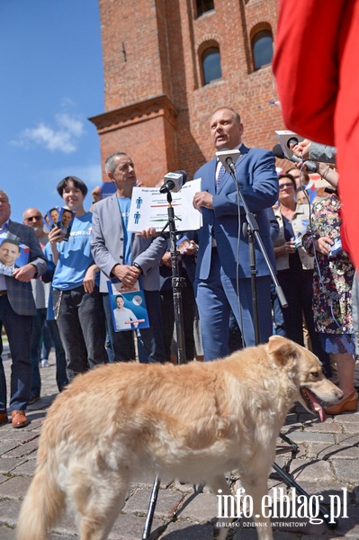 Konferencja prasowa PO z udziaem Borysa Budki , fot. 24