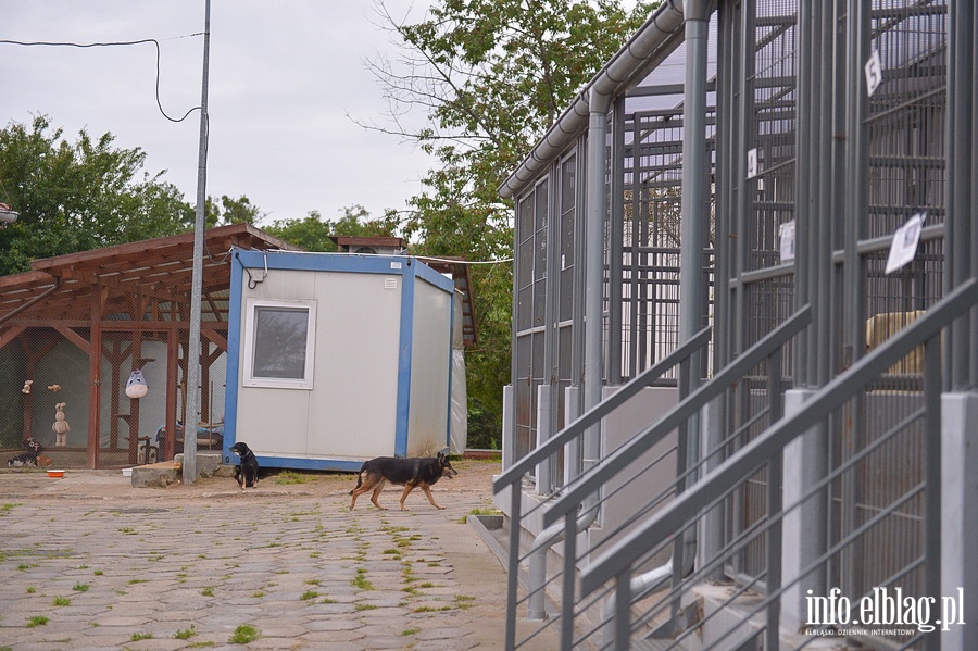 Otoz Animals - Schronisko dla zwierzakw, fot. 15