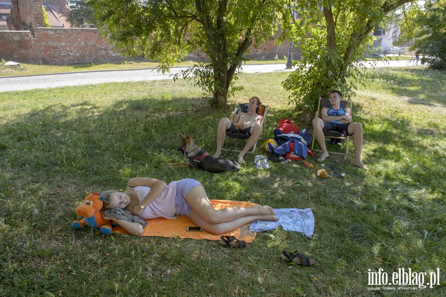 Turniej o Puchar Dyrektora MOSiR w Plaowej Pice Siatkowej , fot. 4