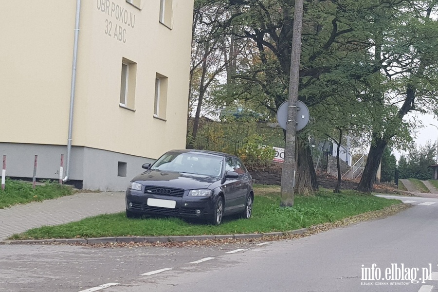 Mistrzowie parkowania w Elblągu (część 70), fot. 14