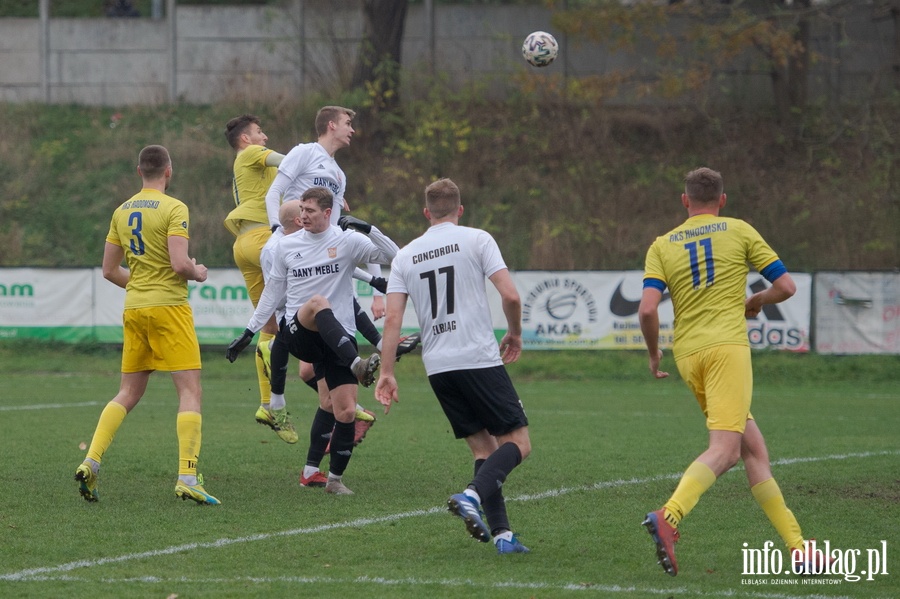 Concordia Elblg - RKS Radomsko 2:0 (1:0), fot. 1