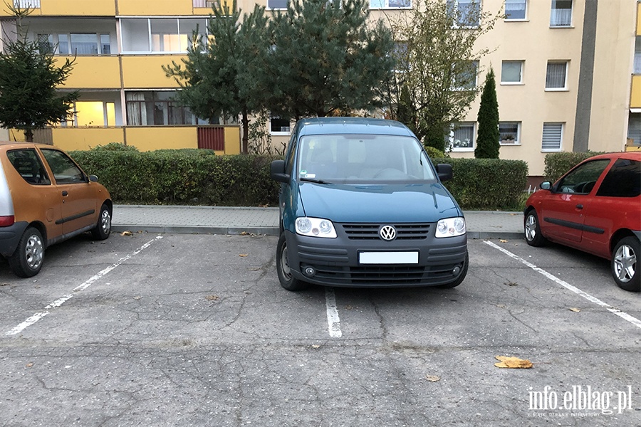Mistrzowie parkowania w Elblgu (cz 71), fot. 1