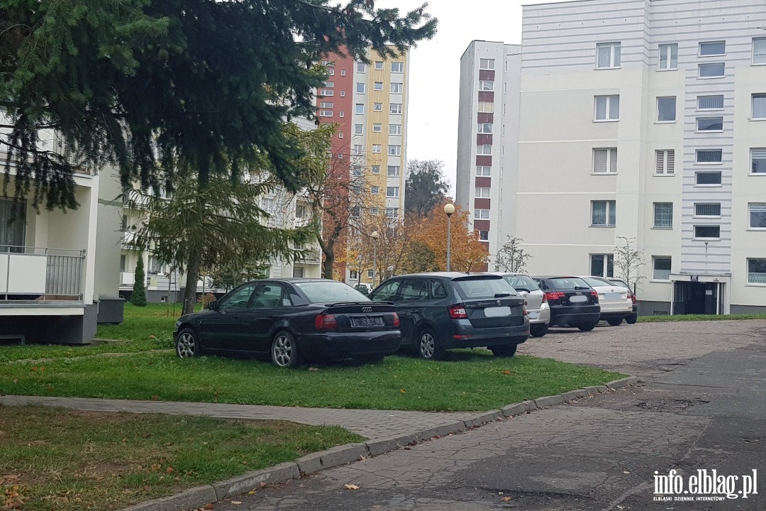 Mistrzowie parkowania w Elblgu (cz 71), fot. 8