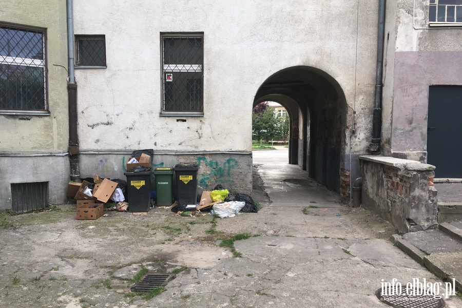 Wysypisko śmieci przy ul. Trybunalskiej 8, fot. 4