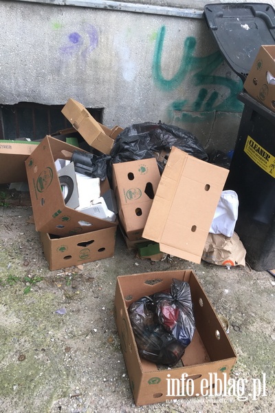 Wysypisko śmieci przy ul. Trybunalskiej 8, fot. 5