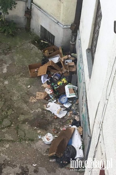 Wysypisko śmieci przy ul. Trybunalskiej 8, fot. 21