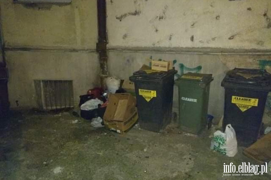 Wysypisko śmieci przy ul. Trybunalskiej 8, fot. 23