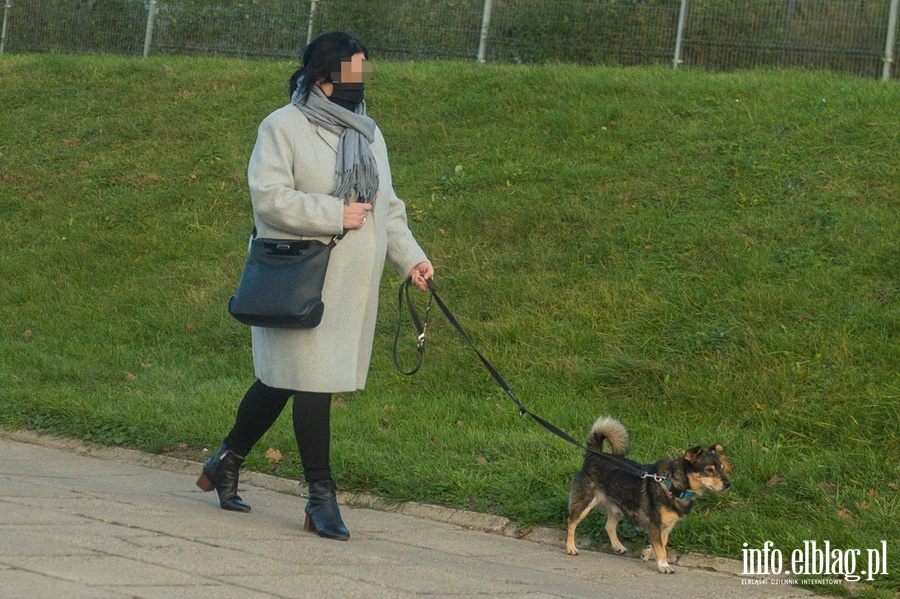 Jak elblanie stosuj si do noszenia maseczek ?, fot. 45